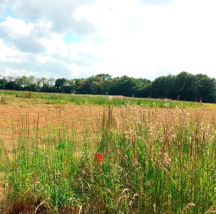 Terrain à bâtir pour une maison en Vendée